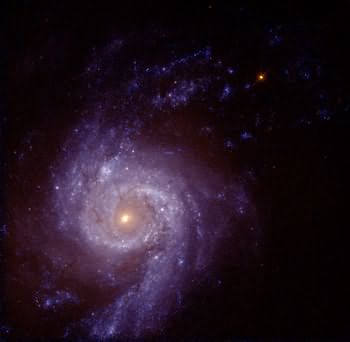 NGC 3310 Spiral Galaxy --HubbleST